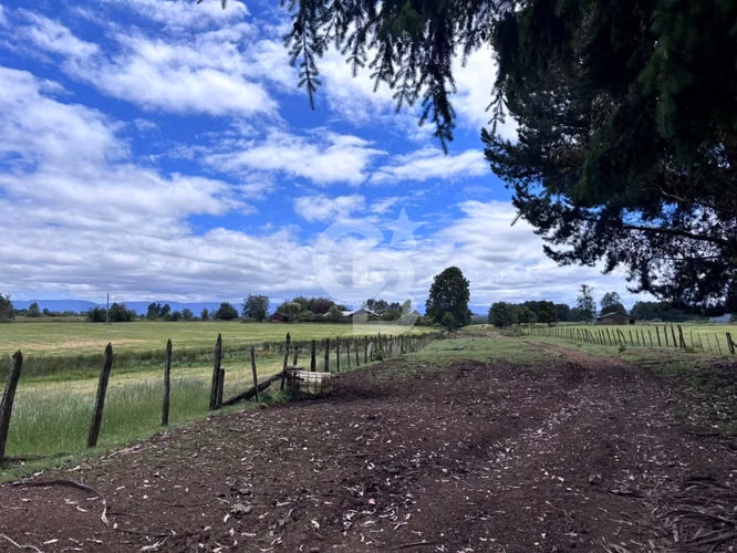 Campo de 26ha a minutos de Fresia con casa