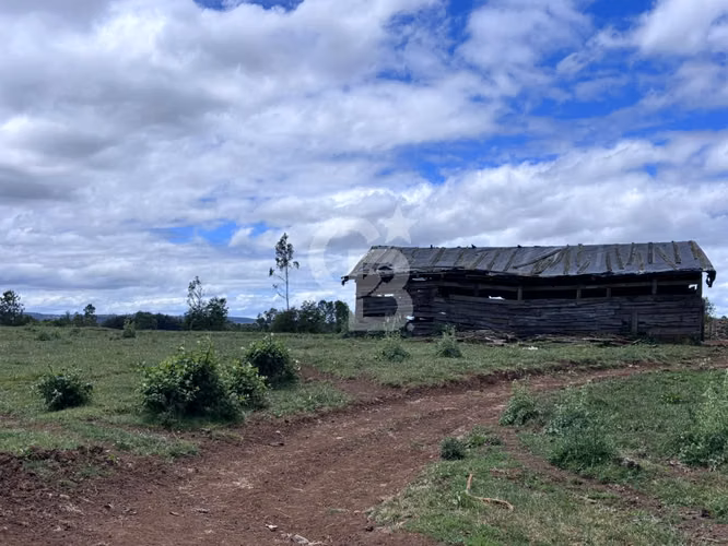Campo de 26ha a minutos de Fresia con casa