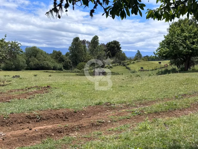 Campo de 26ha a minutos de Fresia con casa