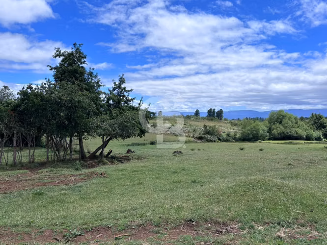 Campo de 26ha a minutos de Fresia con casa