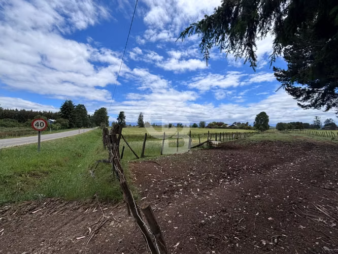 Campo de 26ha a minutos de Fresia con casa