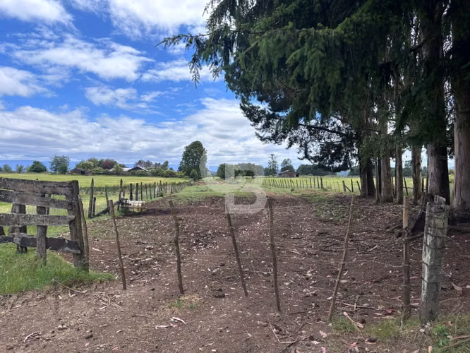 Campo de 26ha a minutos de Fresia con casa