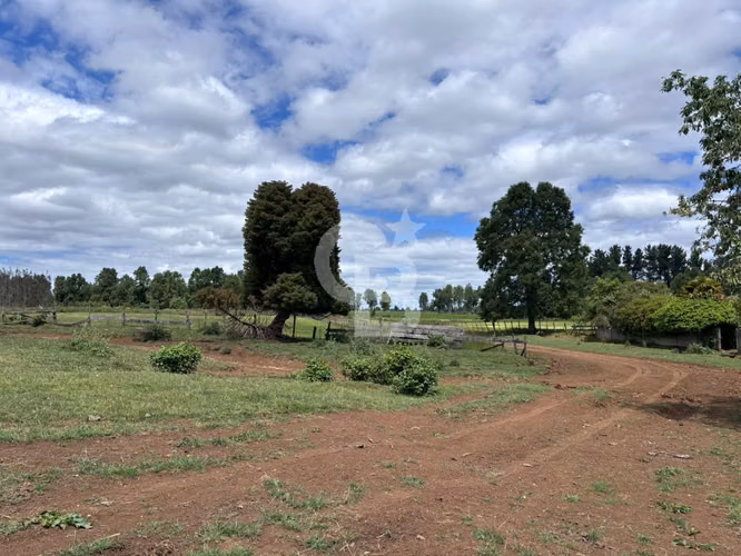 Campo de 26ha a minutos de Fresia con casa