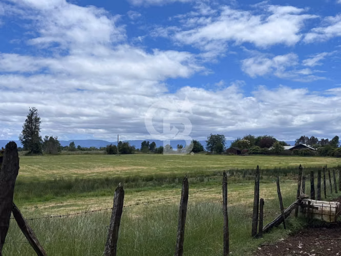 Campo de 26ha a minutos de Fresia con casa
