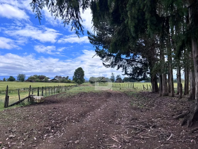 Campo de 26ha a minutos de Fresia con casa
