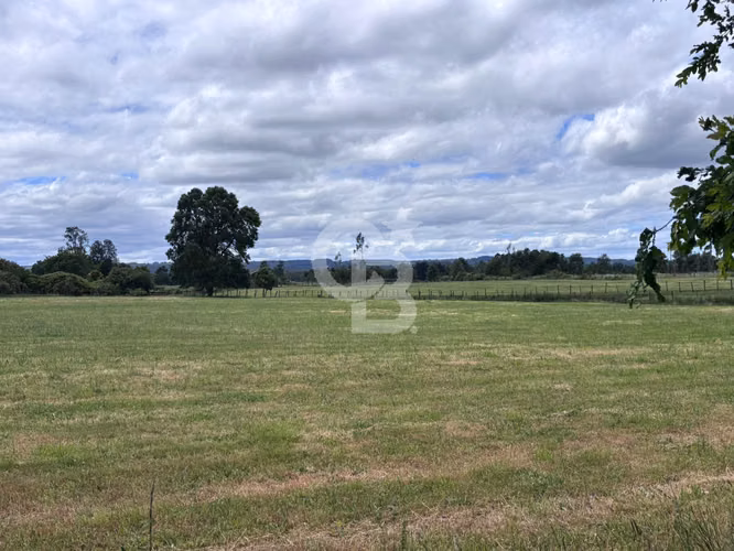 Campo de 26ha a minutos de Fresia con casa