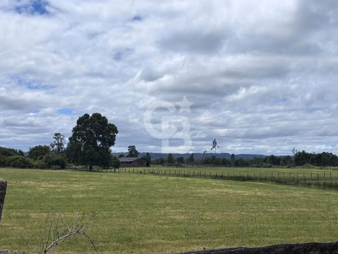 Campo de 26ha a minutos de Fresia con casa