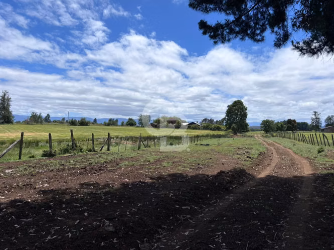 Campo de 26ha a minutos de Fresia con casa