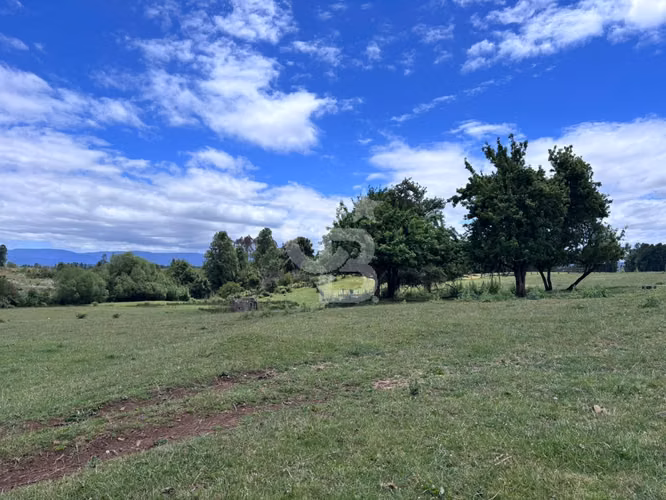 Campo de 26ha a minutos de Fresia con casa