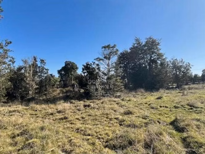 Colonia La Poza - Llanquihue - Imagen 4