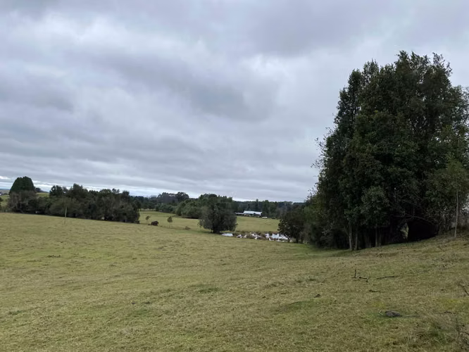 Terreno agricola con casa