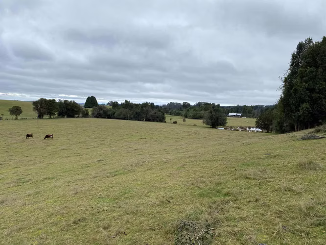 Terreno agricola con casa