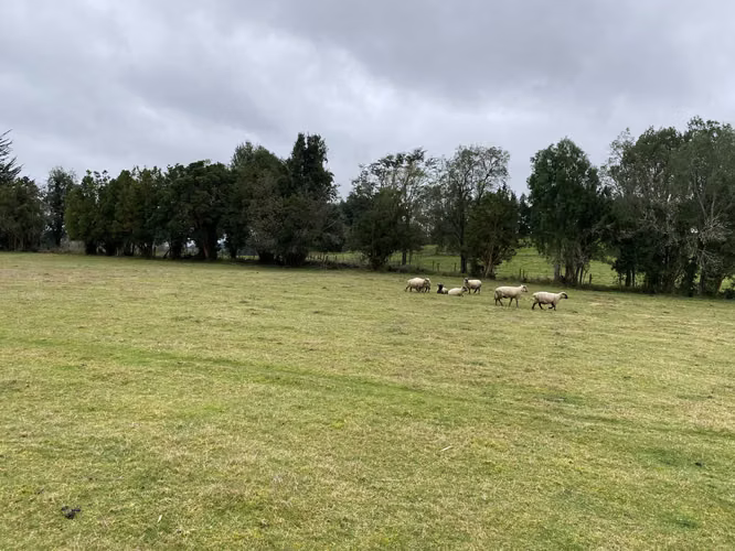 Terreno agricola con casa