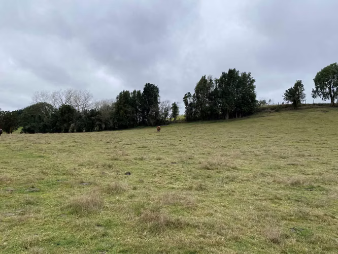 Terreno agricola con casa