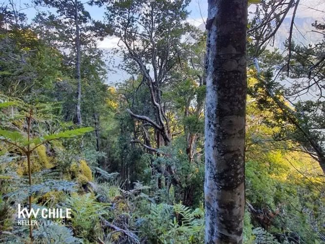 Parcelas En Venta Isla Patagonia, Aysén