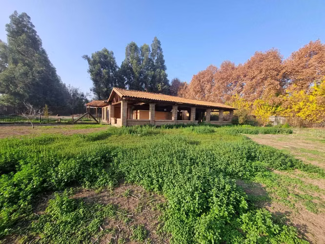 Precio rebajado, parcela en Lonquén 5000m2 (134685)