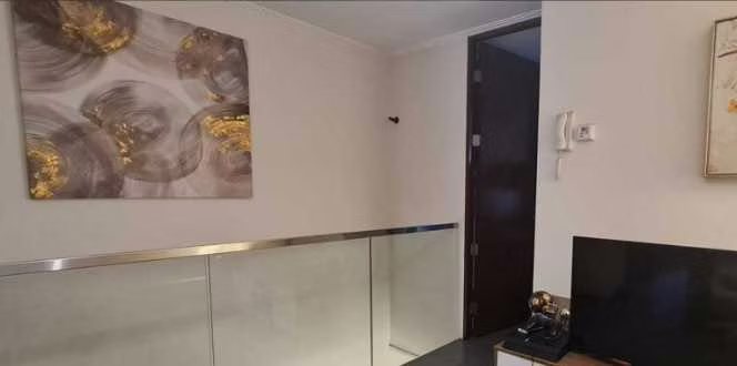 Moderno Depto duplex en  Providencia (134047)