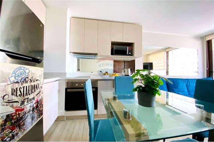Arriendo depto amoblado1d1b, metro camino agricola - Imagen 20