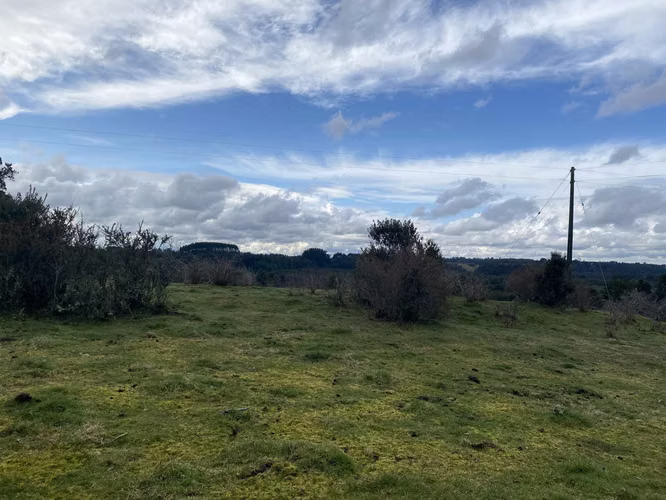 Lindo campo en comuna de Maullin - Imagen 20