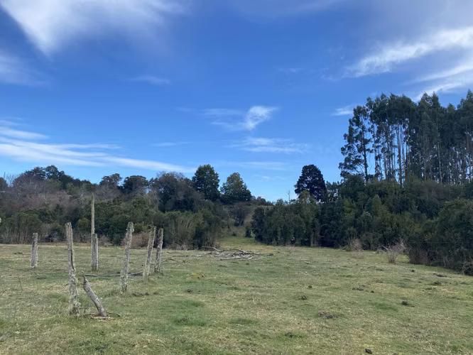 Lindo campo en comuna de Maullin - Imagen 13