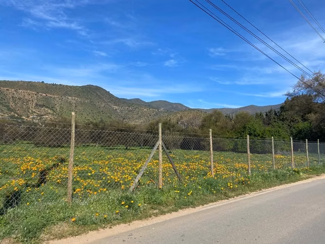 Vendo Terreno Industrial, Curacaví, Superficie 10.152 m2