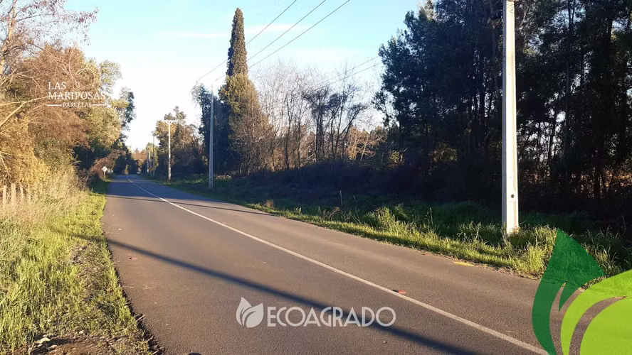 Parcelas Camino a Las Mariposas (134866)