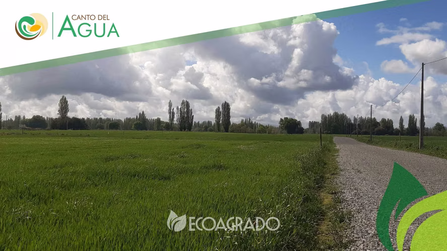 Parcelas Camino a Pinto (134860)