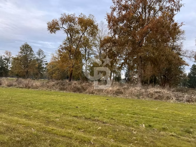 Parcela con Bosque Nativo y Río en Condominio Privado