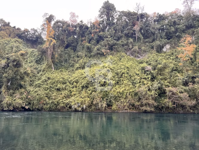 Parcela con Bosque Nativo y Río en Condominio Privado