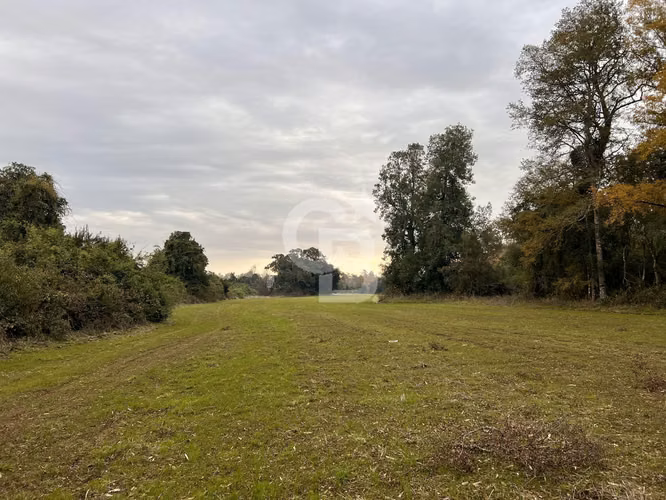 Parcela con Bosque Nativo y Río en Condominio Privado