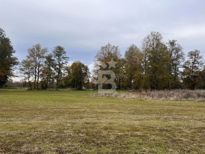 Parcela con Bosque Nativo y Río en Condominio Privado