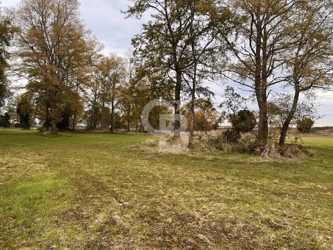 Parcela con Bosque Nativo y Río en Condominio Privado