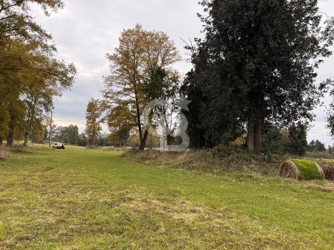 Parcela con Bosque Nativo y Río en Condominio Privado