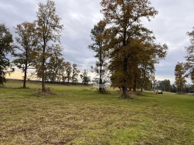 Parcela con Bosque Nativo y Río en Condominio Privado