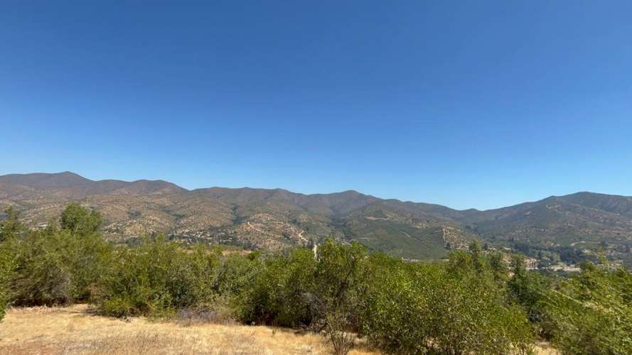 PARCELA DE 10.000 M² EN VENTA – CURACAVÍ, CERCANA