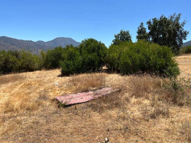 PARCELA DE 10.000 M² EN VENTA – CURACAVÍ, CERCANA