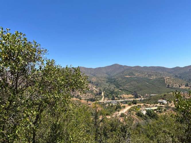 PARCELA DE 10.000 M² EN VENTA – CURACAVÍ, CERCANA