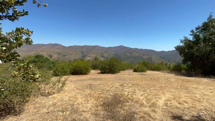 PARCELA DE 10.000 M² EN VENTA – CURACAVÍ, CERCANA
