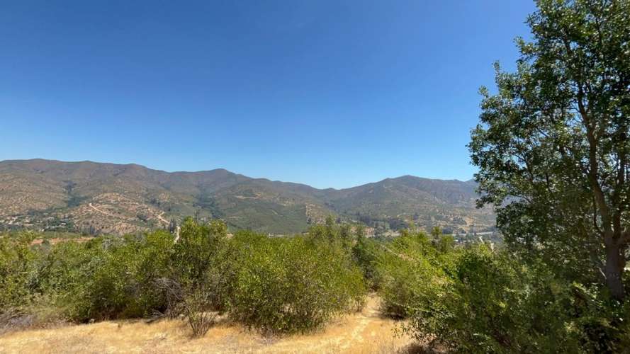 PARCELA DE 10.000 M² EN VENTA – CURACAVÍ, CERCANA