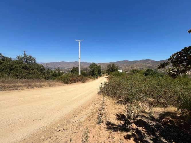 PARCELA DE 10.000 M² EN VENTA – CURACAVÍ, CERCANA