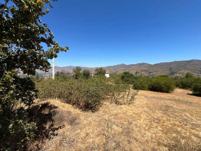 PARCELA DE 10.000 M² EN VENTA – CURACAVÍ, CERCANA