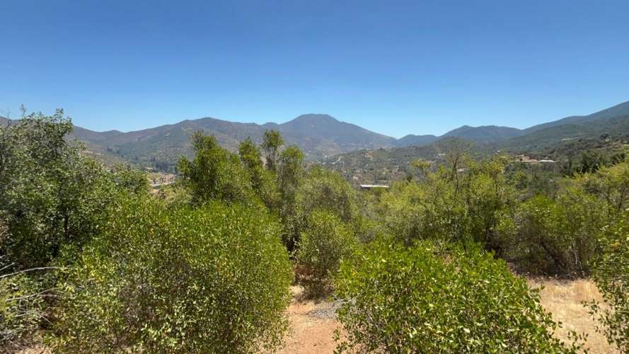 PARCELA DE 10.000 M² EN VENTA – CURACAVÍ, CERCANA
