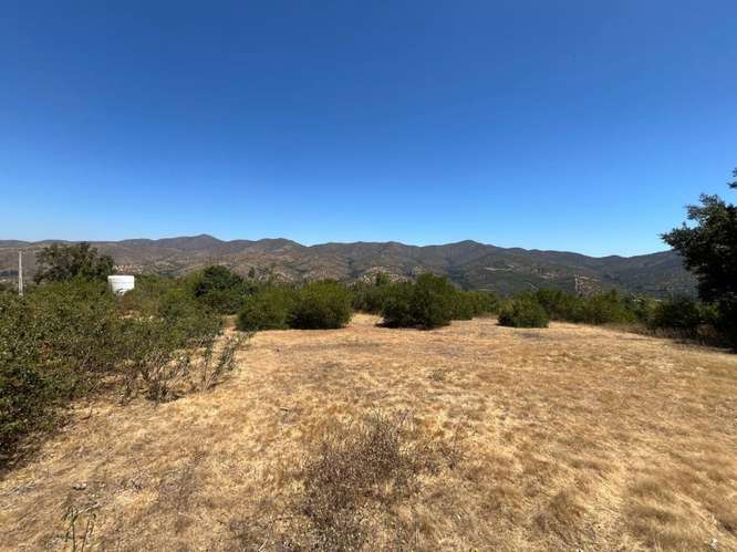 PARCELA DE 10.000 M² EN VENTA – CURACAVÍ, CERCANA