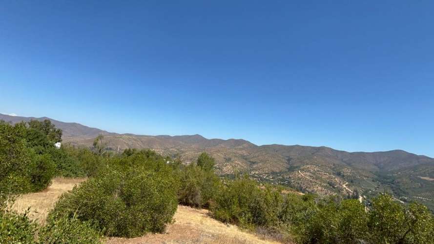 PARCELA DE 10.000 M² EN VENTA – CURACAVÍ, CERCANA