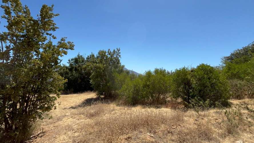 PARCELA DE 10.000 M² EN VENTA – CURACAVÍ, CERCANA