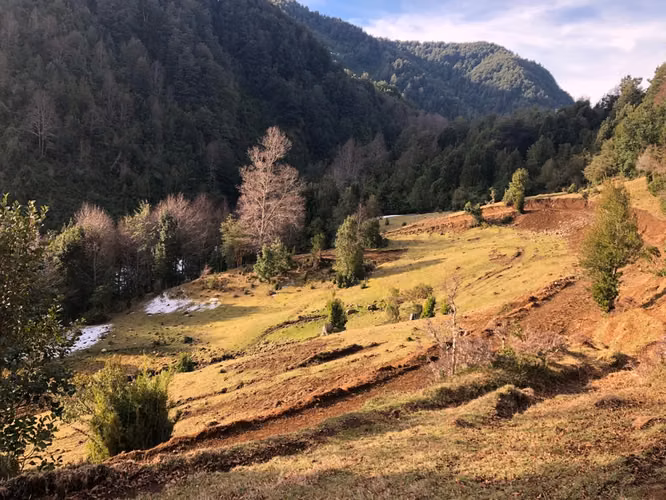 Venta, TERRENO, Cunco. 0D/0B