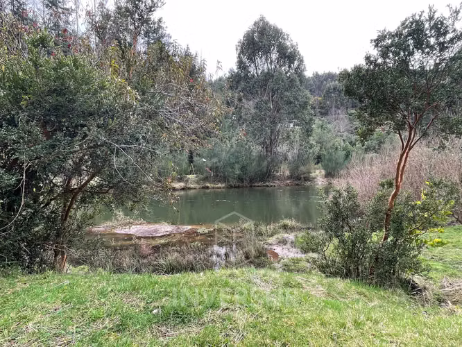 Tranquilidad y Naturaleza en Parcela Valdivia (135359)