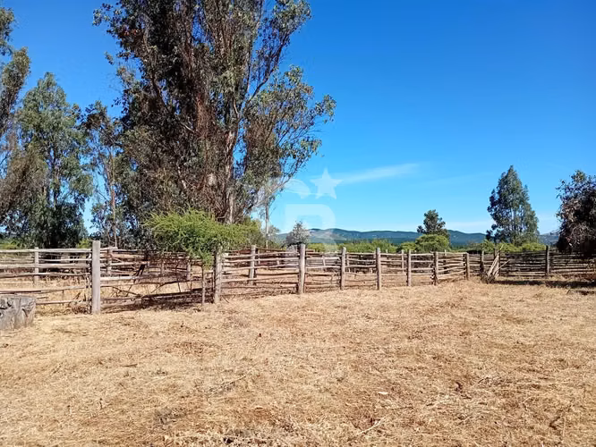 VENTA – Campo Productivo 204 ha · Cauquenes (Curica)
