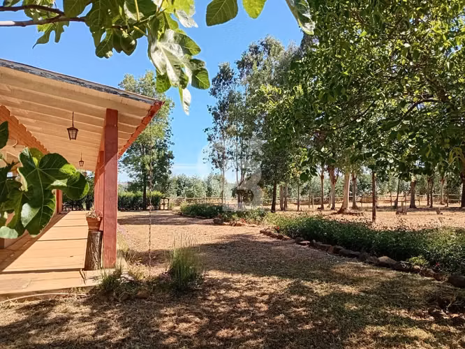 VENTA – Campo Productivo 204 ha · Cauquenes (Curica)