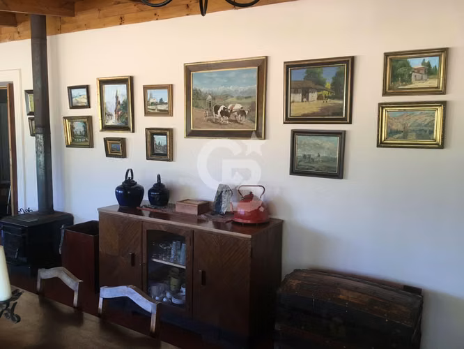 VENTA – Campo Productivo 204 ha · Cauquenes (Curica)